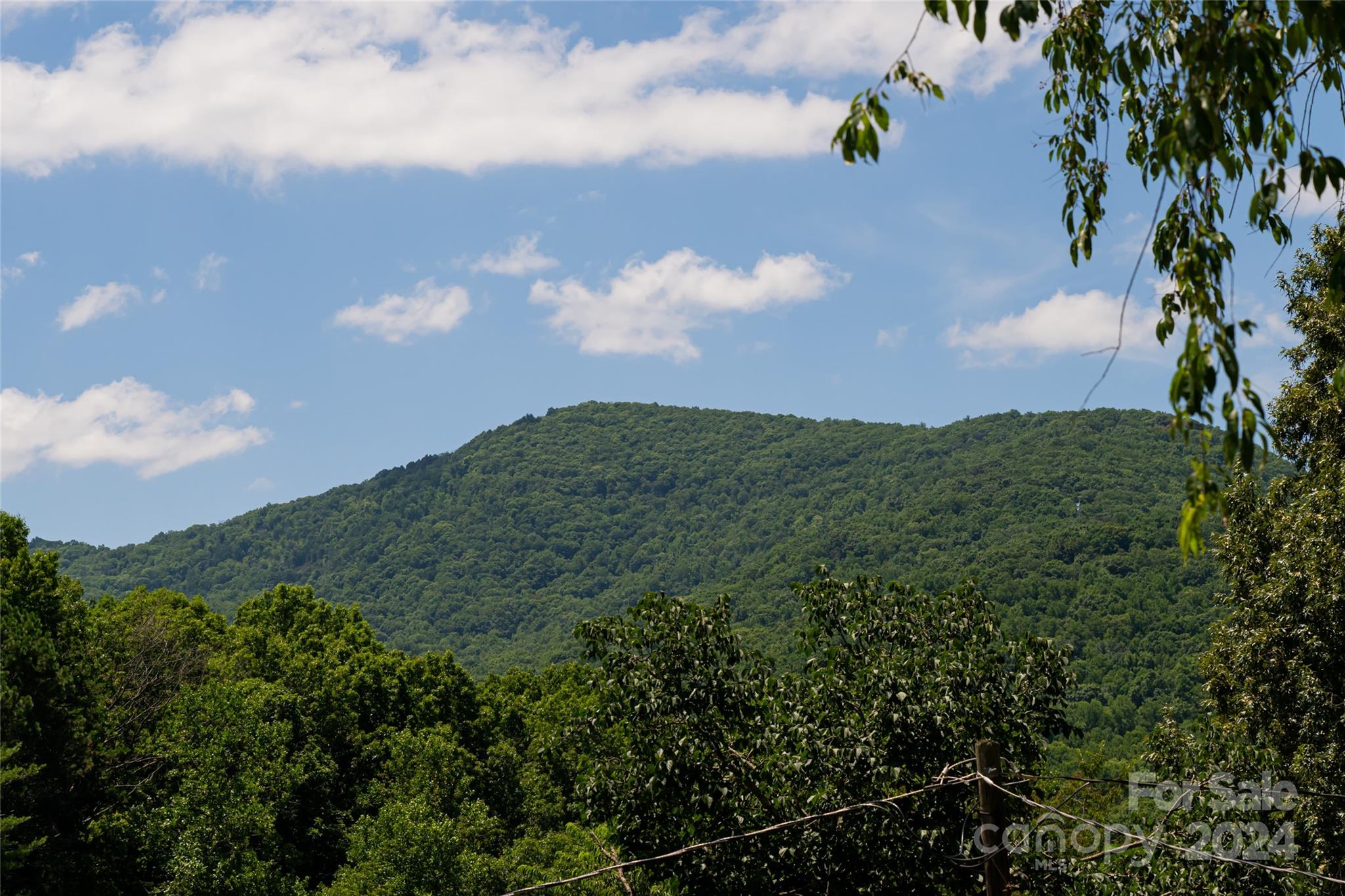 15 Upper Moffitt Road Asheville, NC 28805 - Photo 15 of 29 Gallery Image 15