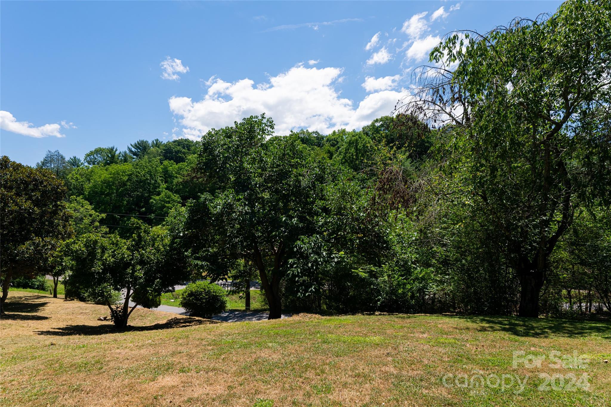 15 Upper Moffitt Road Asheville, NC 28805 - Photo 16 of 29 Gallery Image 16