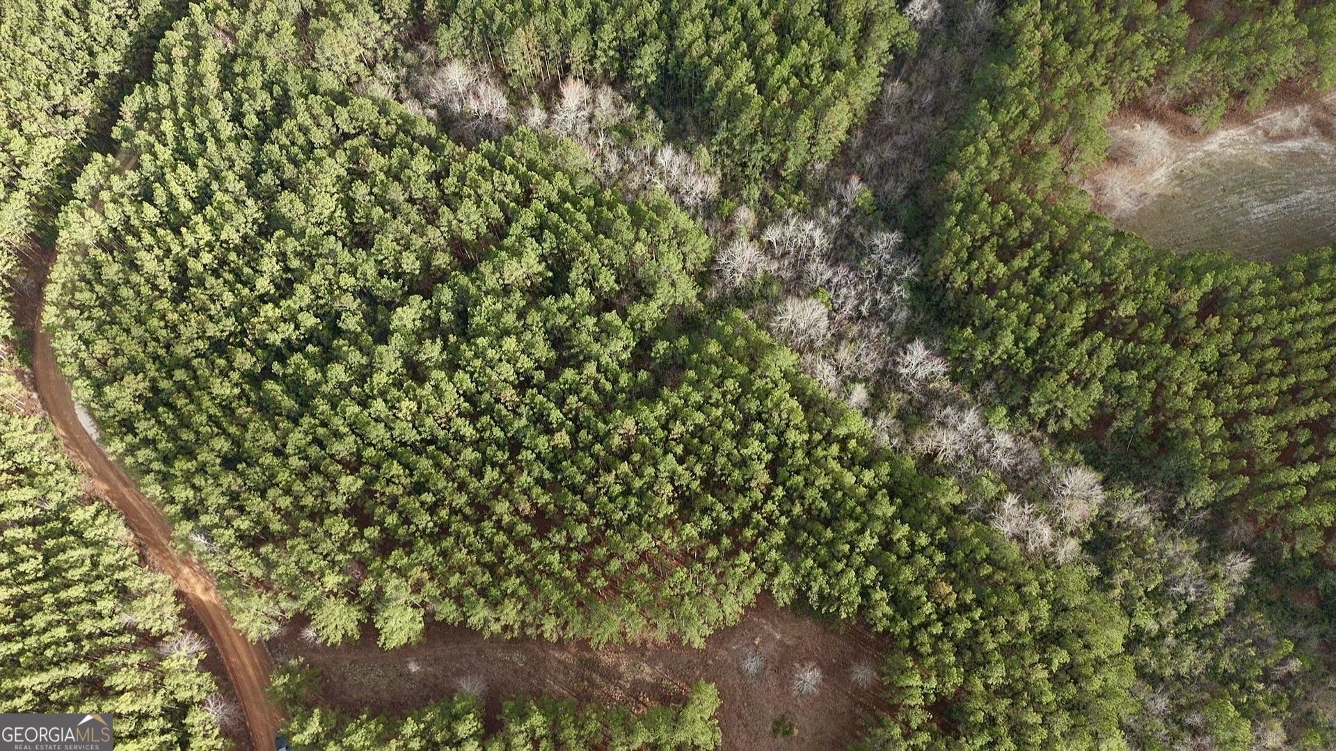 0 County Road 78 Milan, GA 31060 - Photo 2 of 4 a view of a yard