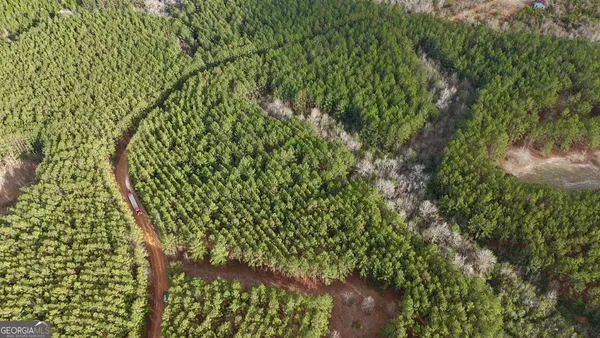 $16,000 | 0 County Road 78, Milan, GA 31060