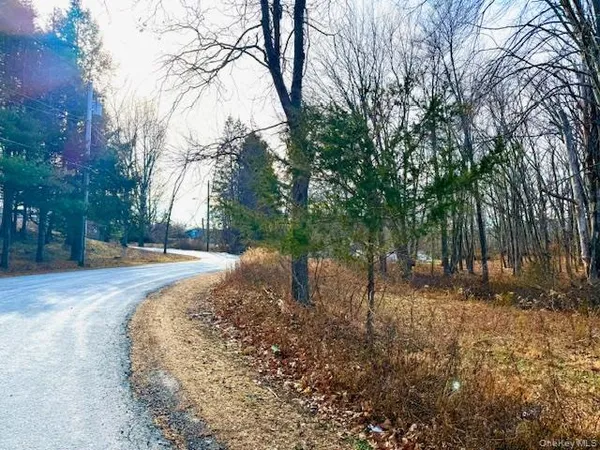 a view of a park with large trees