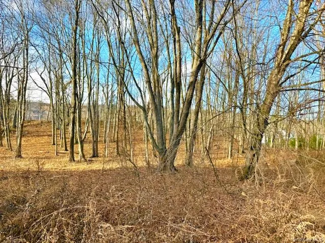 a view of yard with large trees