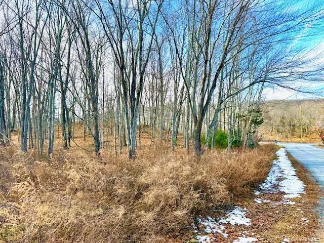 a view of a yard with large trees