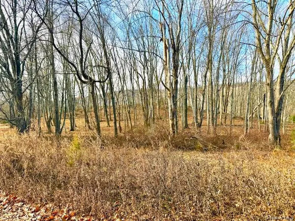 a view of backyard space
