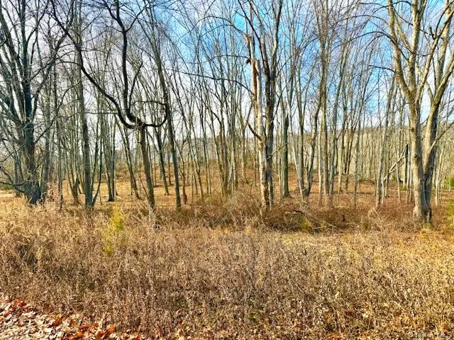 a view of backyard space