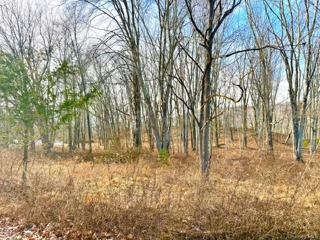 a view of yard with trees
