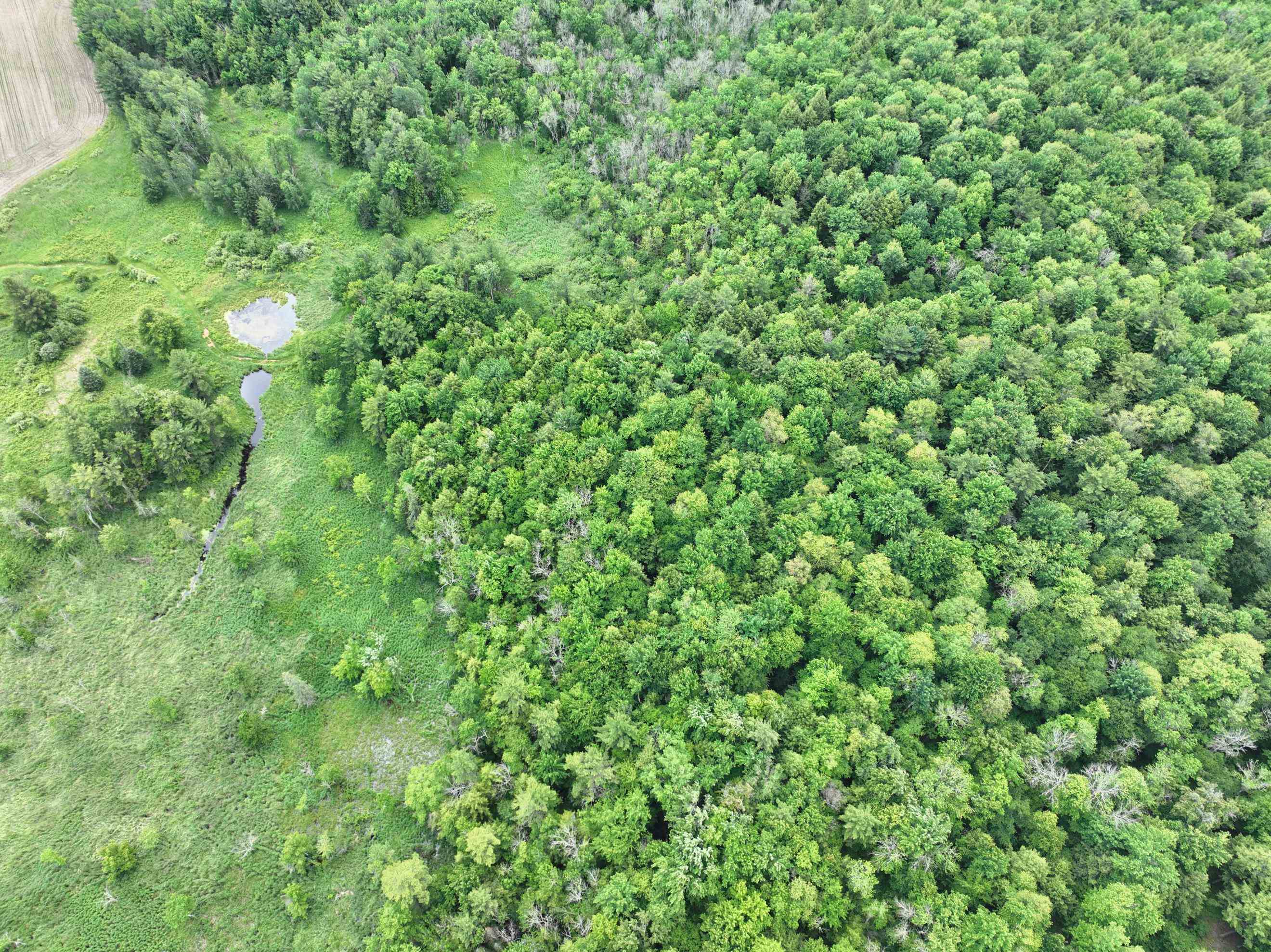 118.88-acres On County Rd O Wausau, WI 54401 - Photo 13 of 15