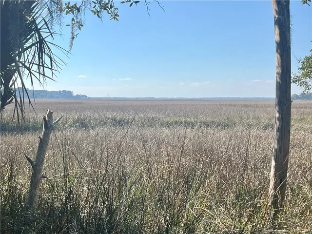 $55,000 | Lot 213 Riverpoint Drive Northeast, Townsend, GA 31331