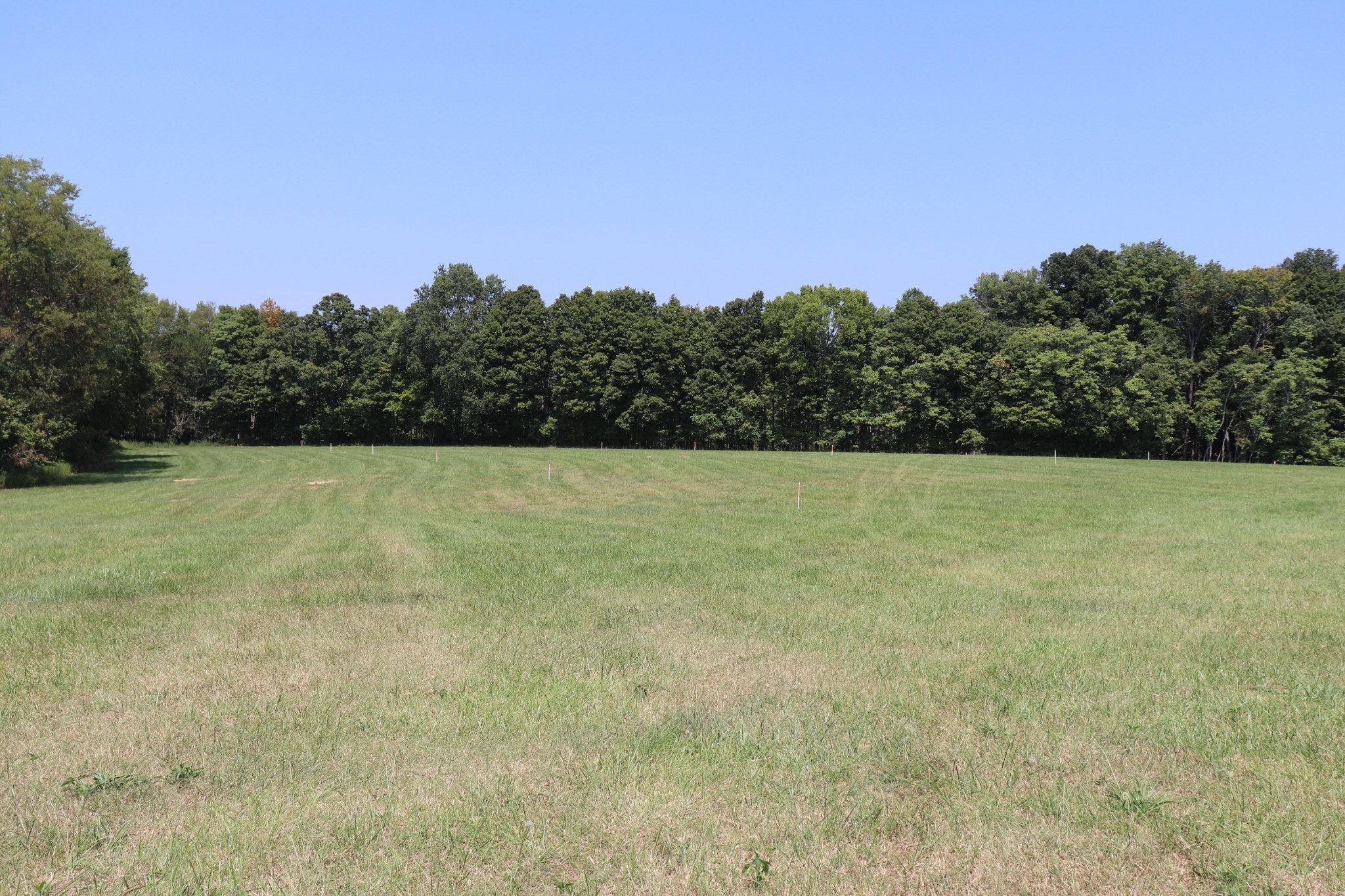 14 Hanestown Road Lafayette, TN 37083 - Photo 11 of 14 Gallery Image 11