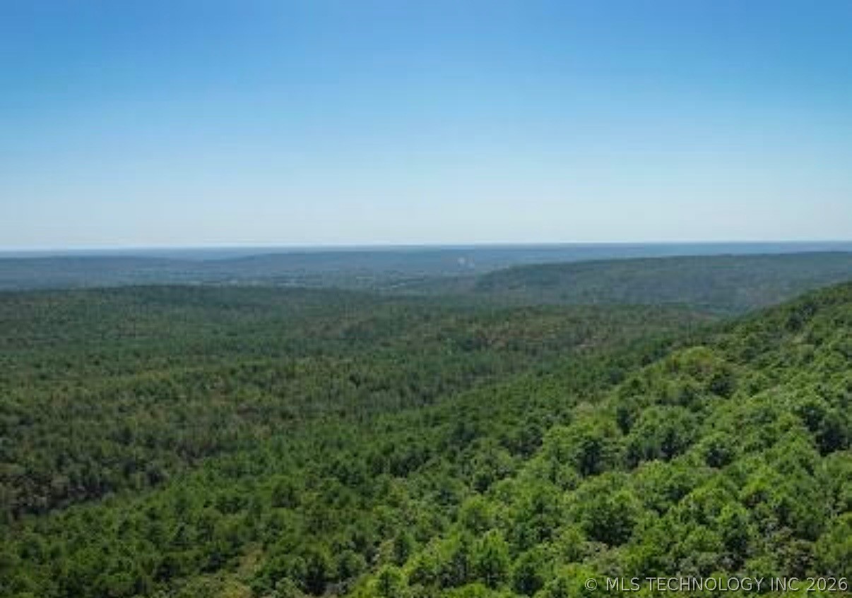 John's Valley Road Moyers, OK 74557 - Photo 14 of 17 Expansive forested landscape under a clear sky
