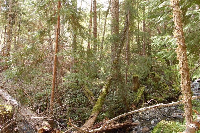 0 Rock Creek Road Williams, OR 97544 - Photo 9 of 10 Additional Photo