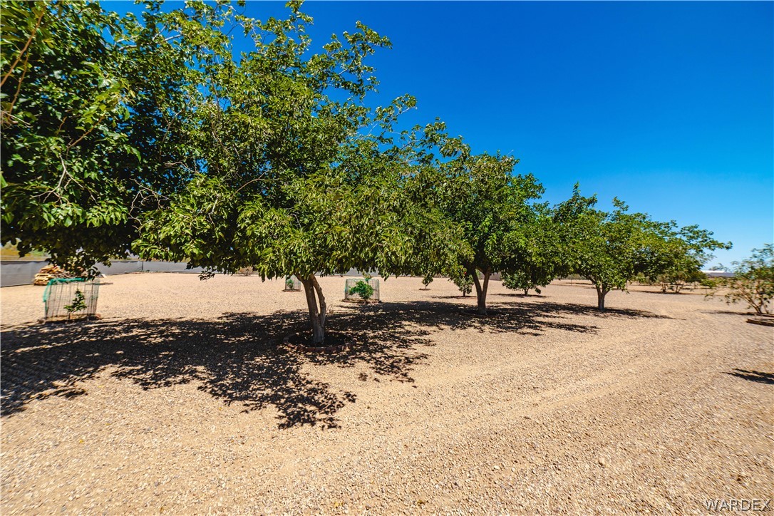 3684 Horse Mesa Road Golden Valley, AZ 86413 - Photo 46 of 81
