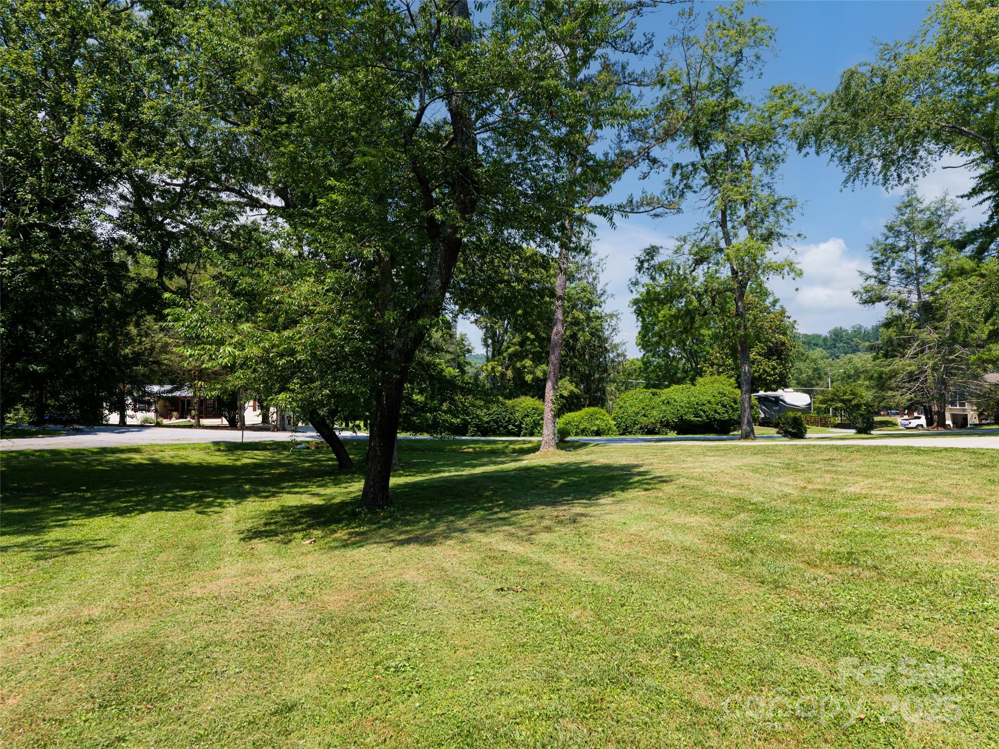 206 Pinner Road Arden, NC 28704 - Photo 42 of 47 a view of a trees in a yard