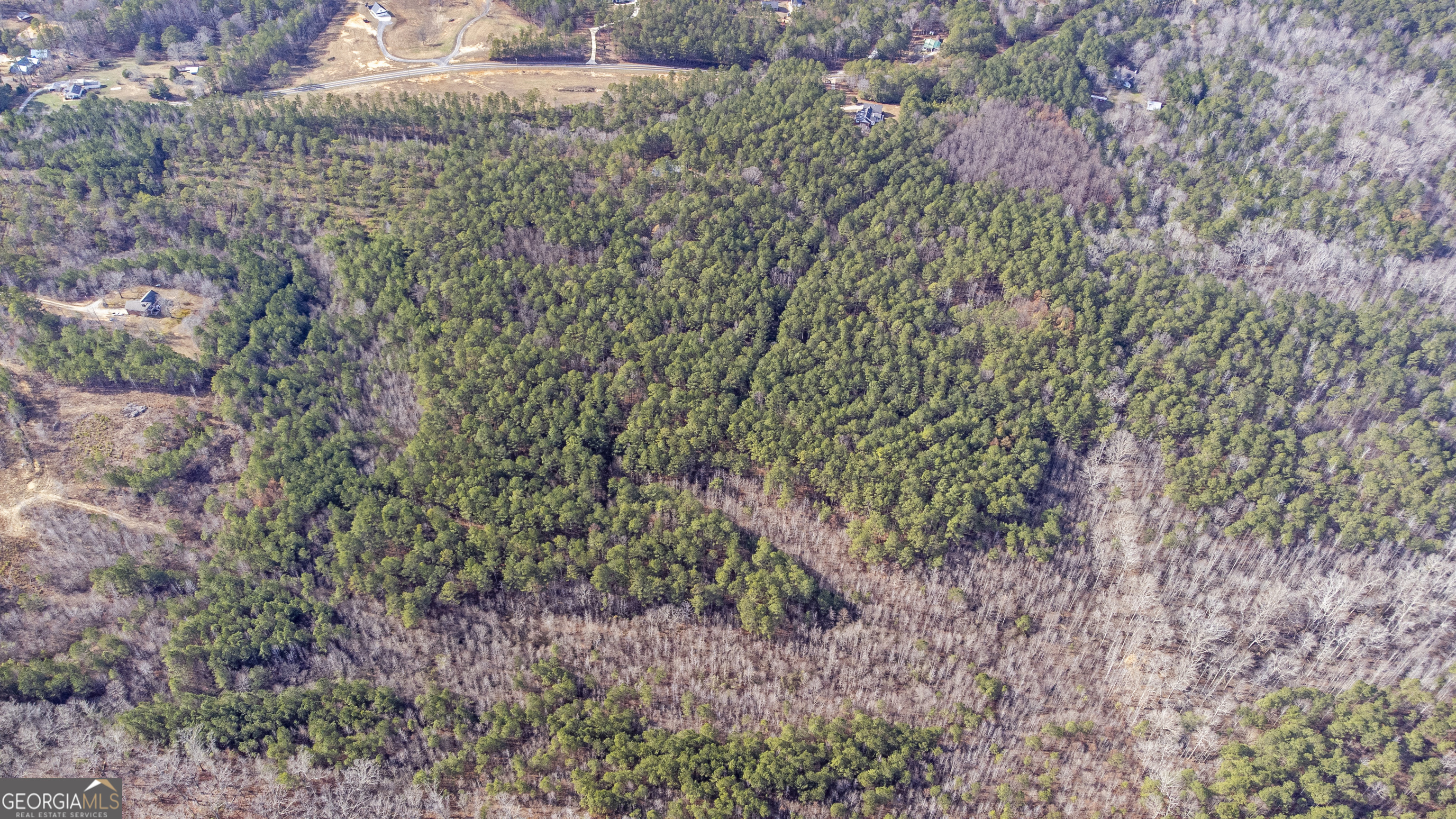 273 High Point Road Buchanan, GA 30113 - Photo 64 of 73 a view of a forest that has a tree