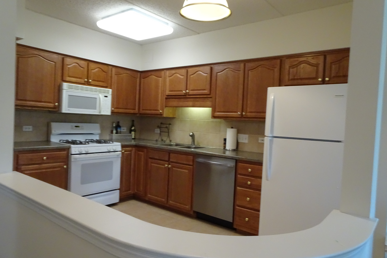 5 West Central Road, Unit 313 Mount Prospect, IL 60056 - Photo 4 of 16
