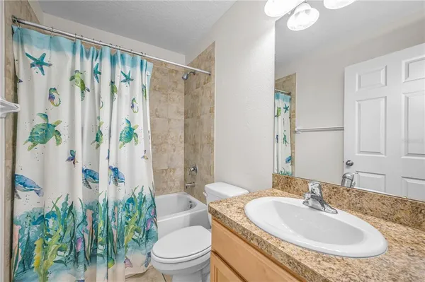 a view of a backyard with plants