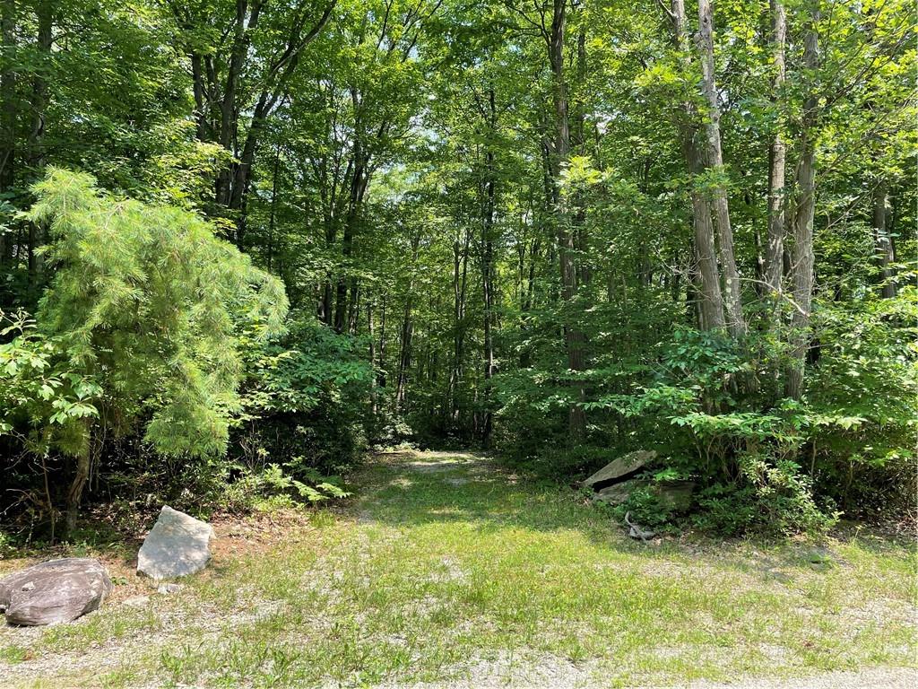 Lot 209 Shadowbrook Road Somerset, PA 15501 - Photo 1 of 11 Gallery Image 1