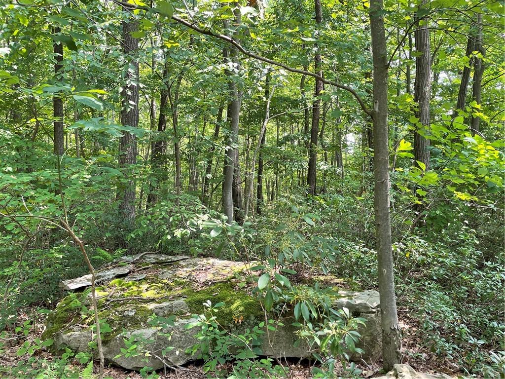 Lot 209 Shadowbrook Road Somerset, PA 15501 - Photo 7 of 11 Gallery Image 7