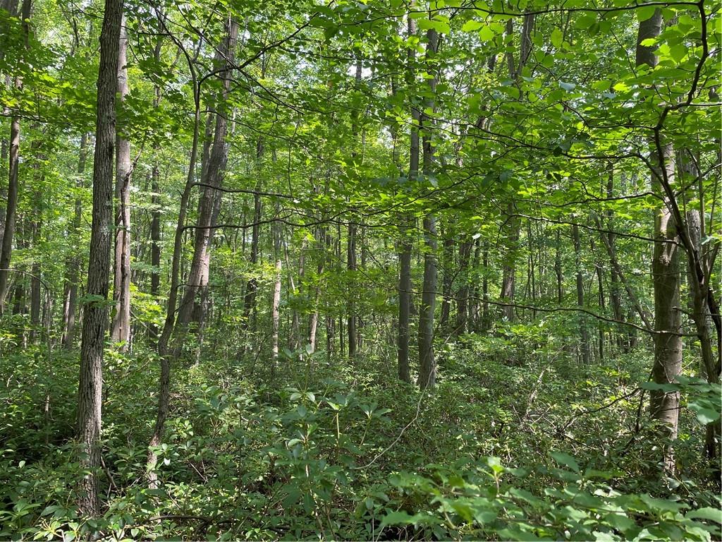Lot 209 Shadowbrook Road Somerset, PA 15501 - Photo 9 of 11 Gallery Image 9