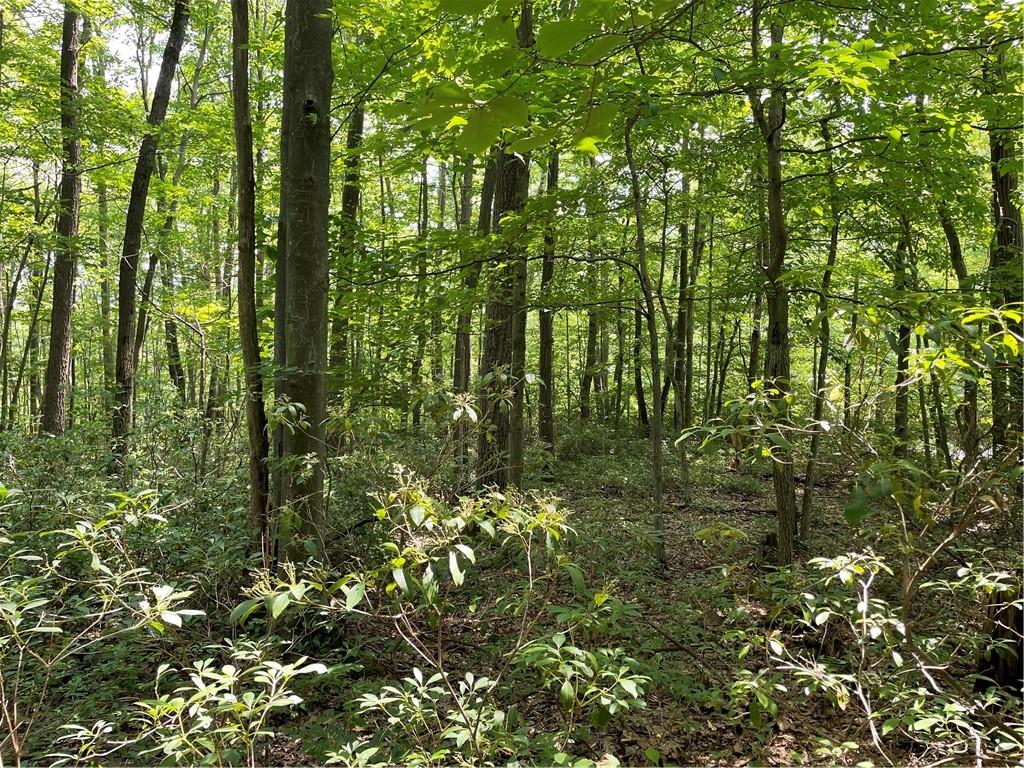 Lot 209 Shadowbrook Road Somerset, PA 15501 - Photo 10 of 11 Gallery Image 10