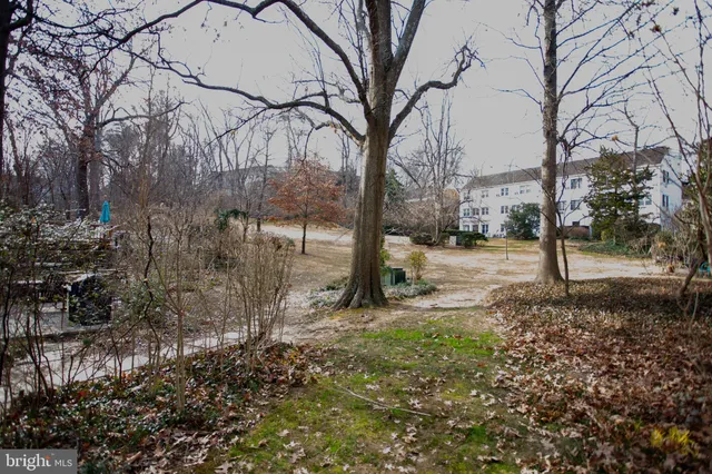 a view of a park with tree s