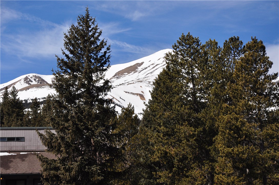 820 Columbine Road, Unit 1 Breckenridge, CO 80424 - Photo 9 of 25 Gallery Image 9