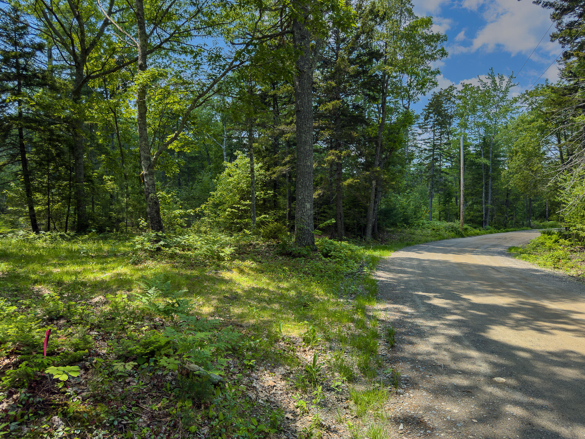 0 Sodom Road Bristol, ME 04539 - Photo 13 of 49 0_Sodom_Rd_spring-12