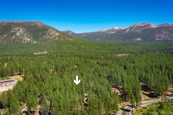 a view of a mountain range with lush green forest
