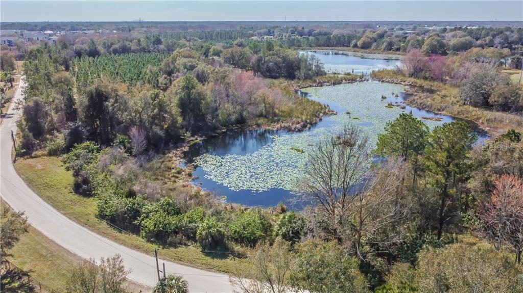0 20 20 Mile Level Road Land O Lakes, FL 34639 - Photo 1 of 1