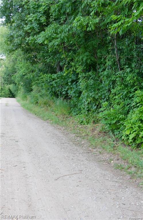 V/l Bullard Road Fenton, MI 48430 - Photo 8 of 9