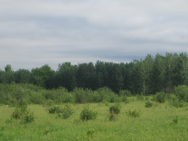 77.5 A County Road South Milladore, WI 54454 - Photo 1 of 1