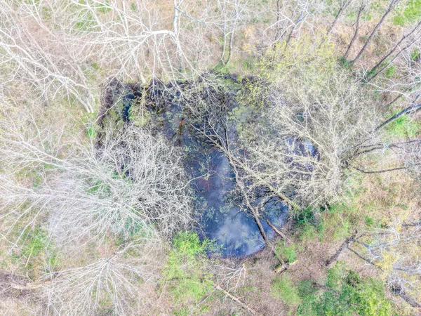 $764,900 | 4314 Woodrow Wilson Road, Springfield, TN 37172