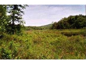 - Nashua Road Sharon, NH 03458 - Photo 6 of 6