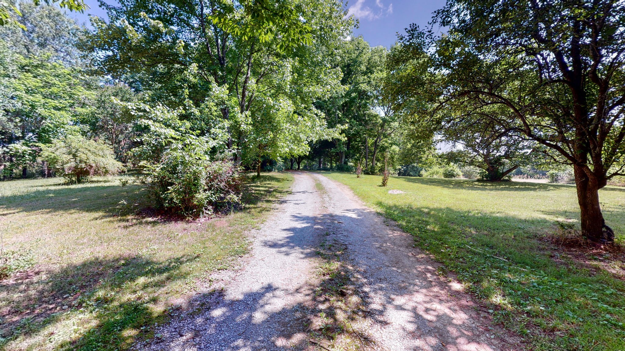 6714 Lee Road Smyrna, TN 37167 - Photo 4 of 70 a view of backyard with green space