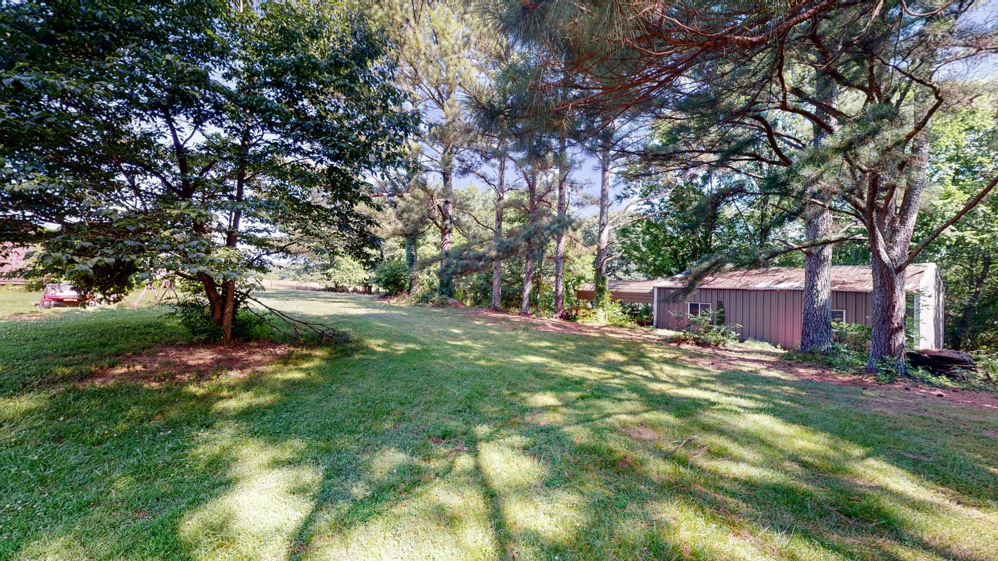 6714 Lee Road Smyrna, TN 37167 - Photo 51 of 70 a view of a yard with plants and trees