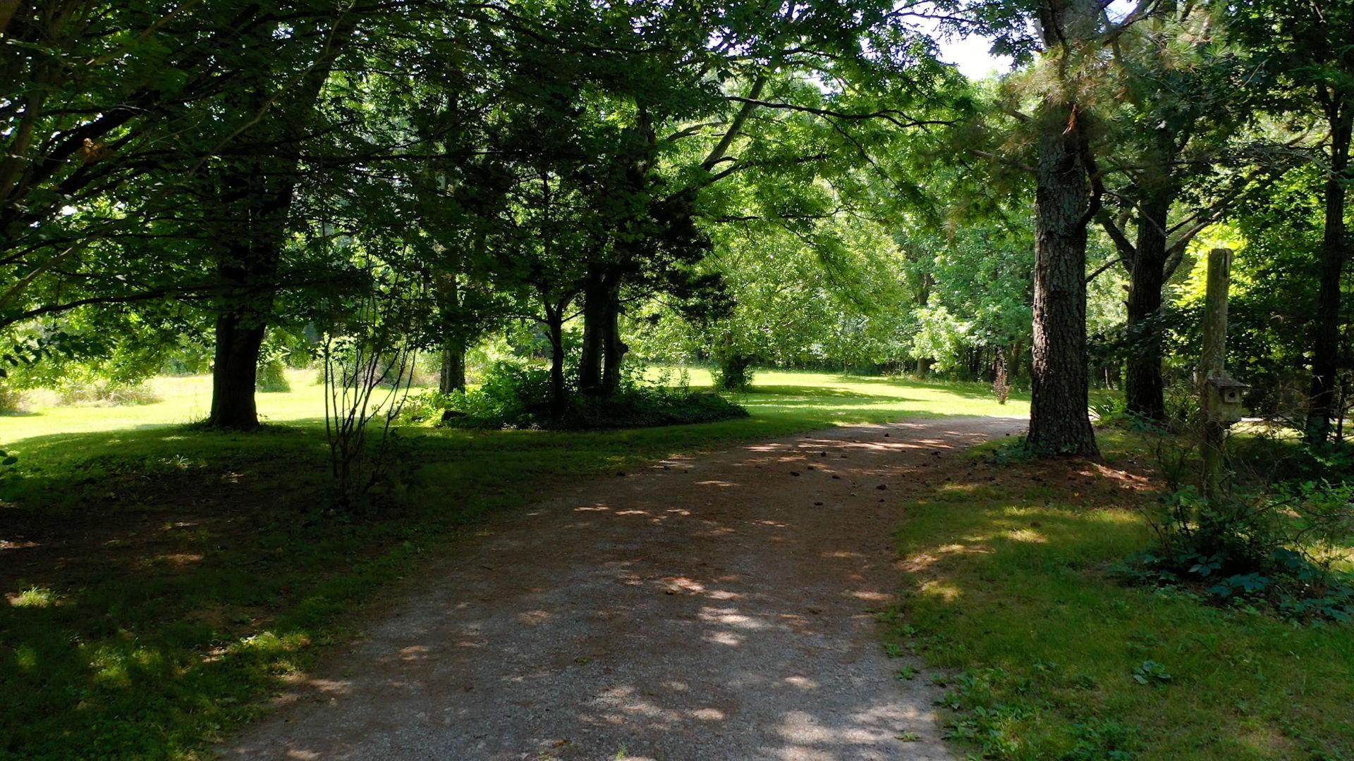6714 Lee Road Smyrna, TN 37167 - Photo 6 of 70 a view of outdoor space and yard