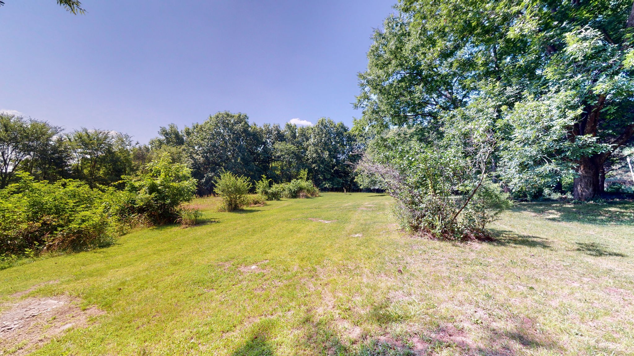 6714 Lee Road Smyrna, TN 37167 - Photo 62 of 70 a view of a yard with a tree