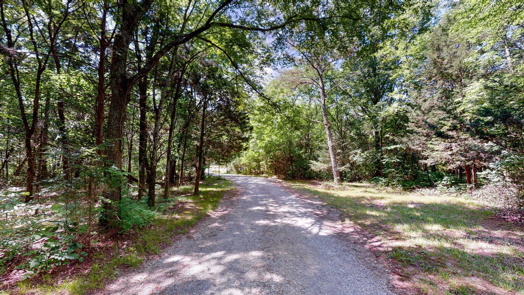 6714 Lee Road Smyrna, TN 37167 - Photo 7 of 70 a view of outdoor space with trees all around