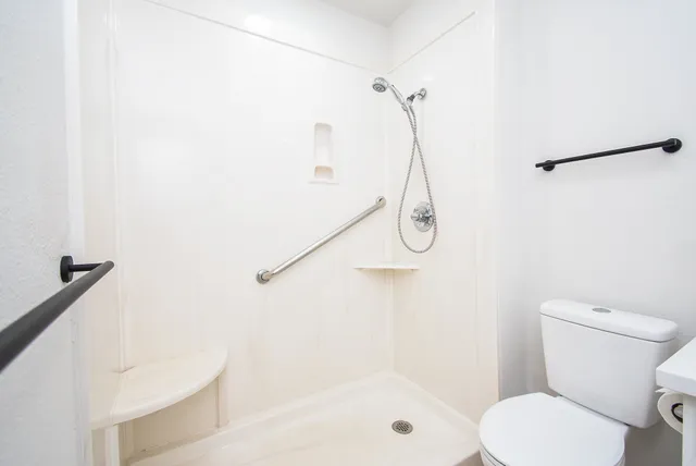 a bathroom with a shower and a toilet