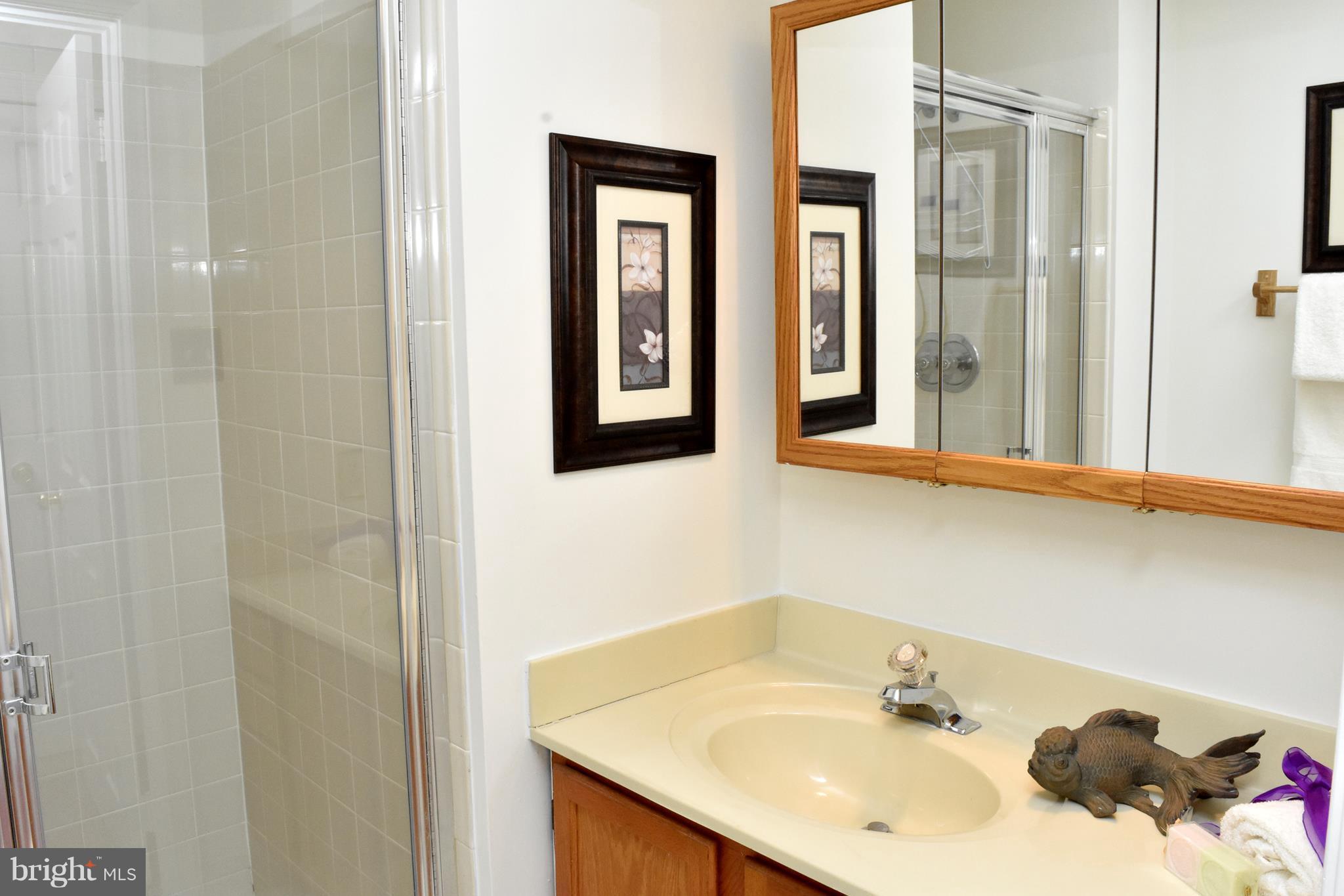 9238 Ispahan Loop Laurel, MD 20708 - Photo 22 of 30 full bath LL
