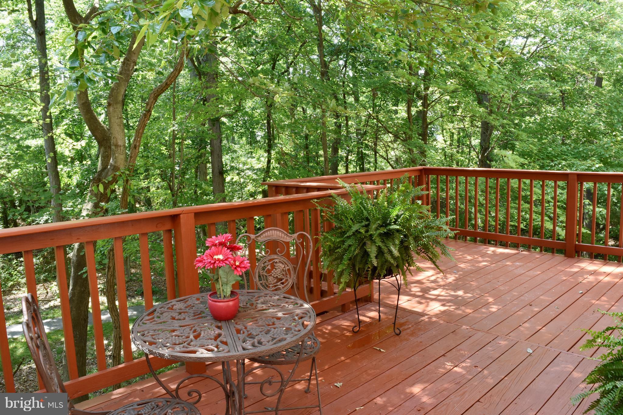 9238 Ispahan Loop Laurel, MD 20708 - Photo 28 of 30 Atrium door opens to deck backing to trees