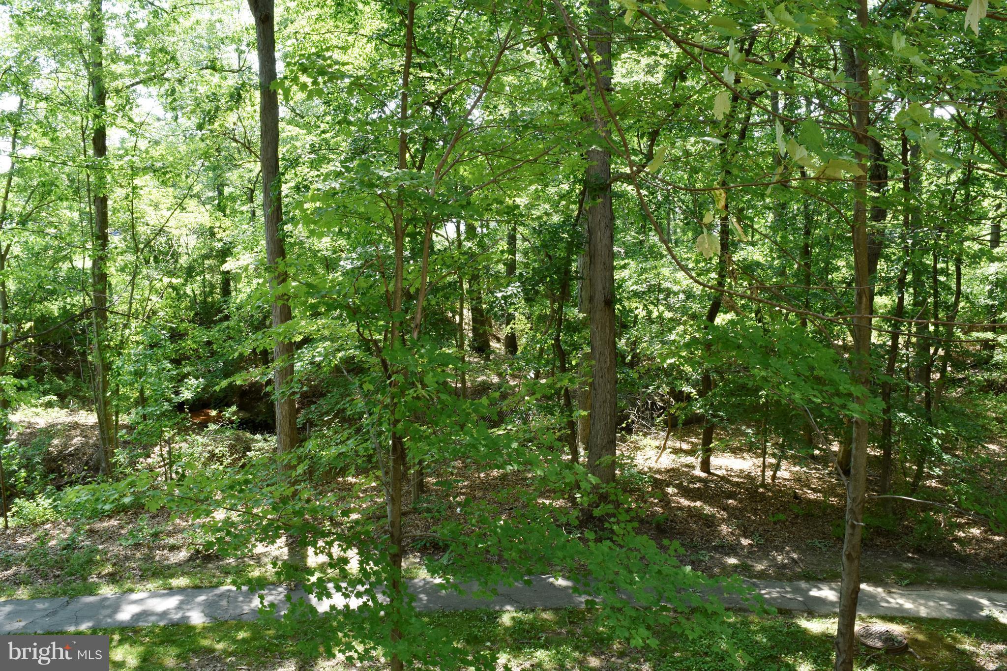 9238 Ispahan Loop Laurel, MD 20708 - Photo 30 of 30 Rear view from deck