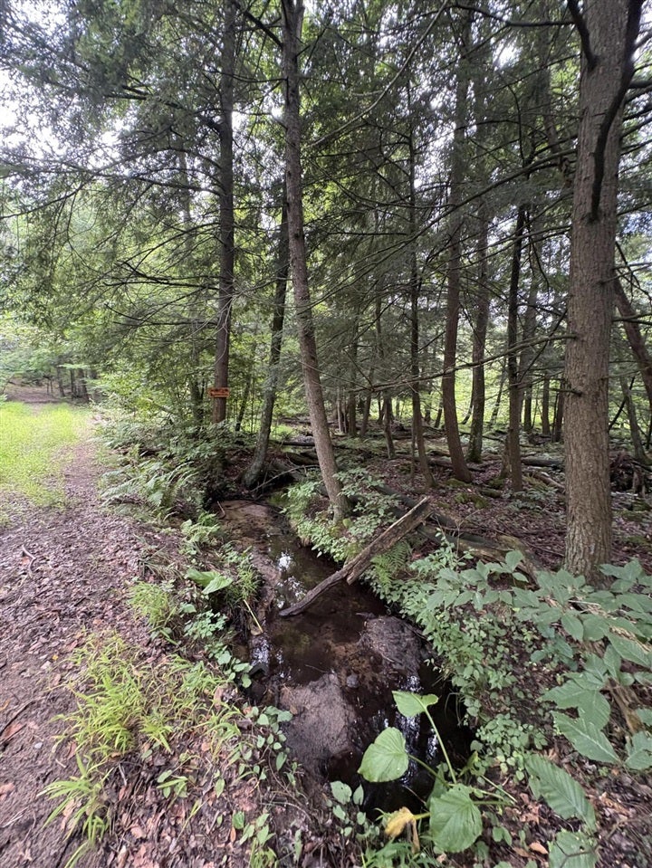 5 5 Mile Road Howard City, MI 49329 - Photo 79 of 99 Gallery Image 79