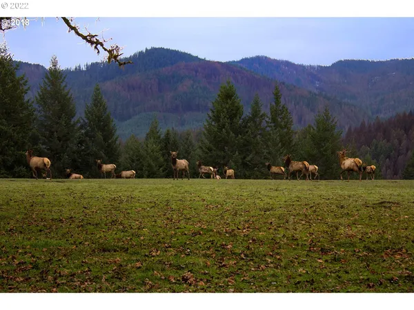 $5,495,000 | 1111 Illahee Road, Idleyld Park, OR 97447