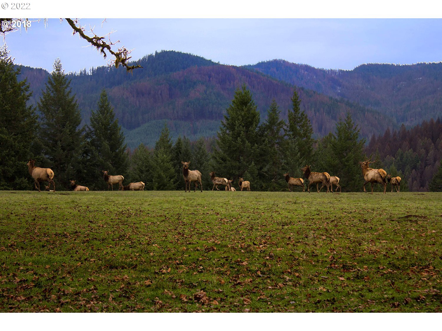 1111 Illahee Road Idleyld Park, OR 97447 - Photo 3 of 48