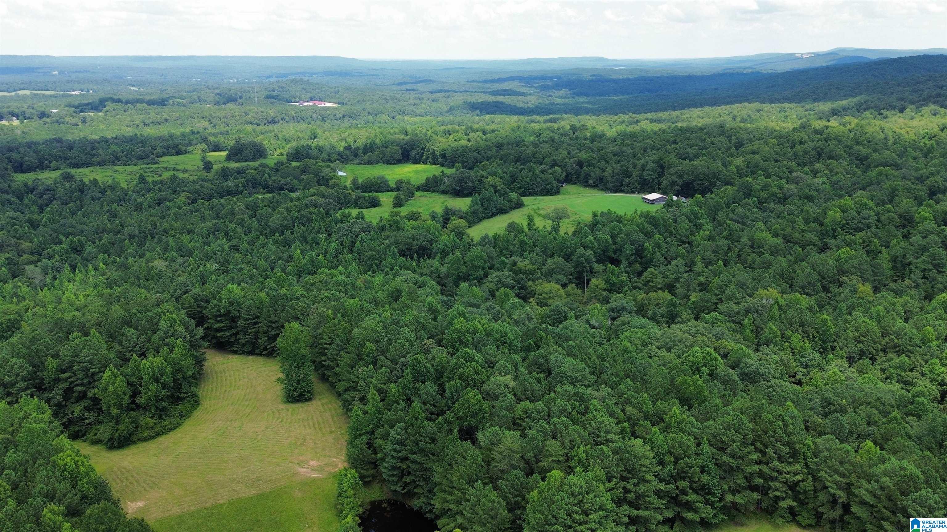 0 Hollow Creek Road, Unit 13 45 Hayden, AL 35079 - Photo 8 of 8