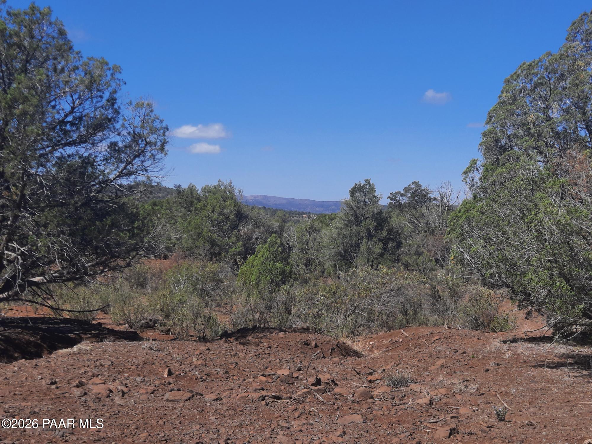 Lot 860 Fort Rock Road Kingman, AZ 86401 - Photo 7 of 20 a view of a dry yard with trees in the background
