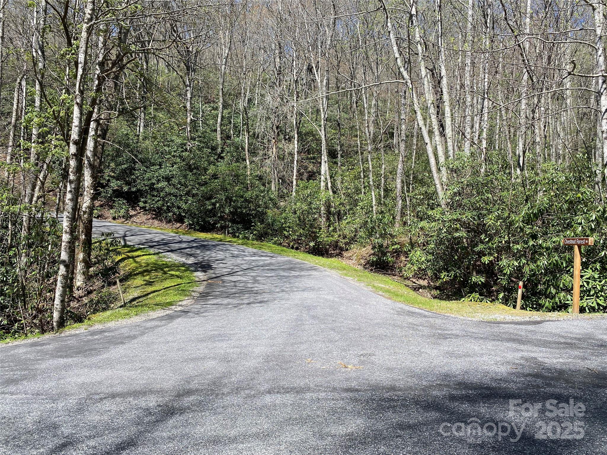99999 Chestnut Forest Road, Unit 412 & #413 Fairview, NC 28730 - Photo 14 of 36