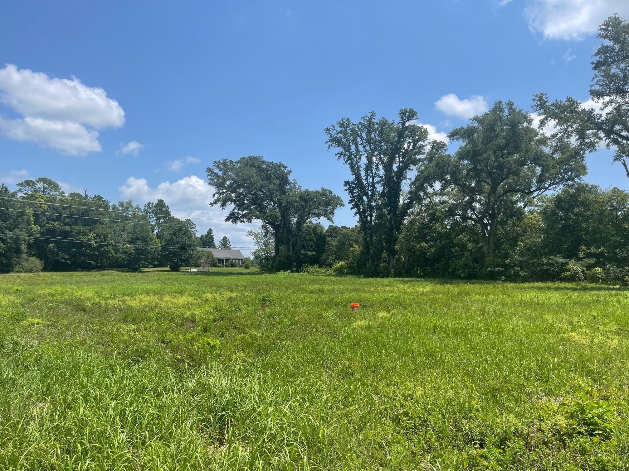 25636 Highway 98 Elberta, AL 36530 - Photo 3 of 24