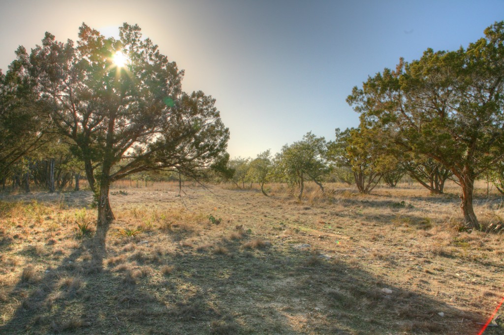 305 Mussey Road Dripping Springs, TX 78620 - Photo 1 of 1